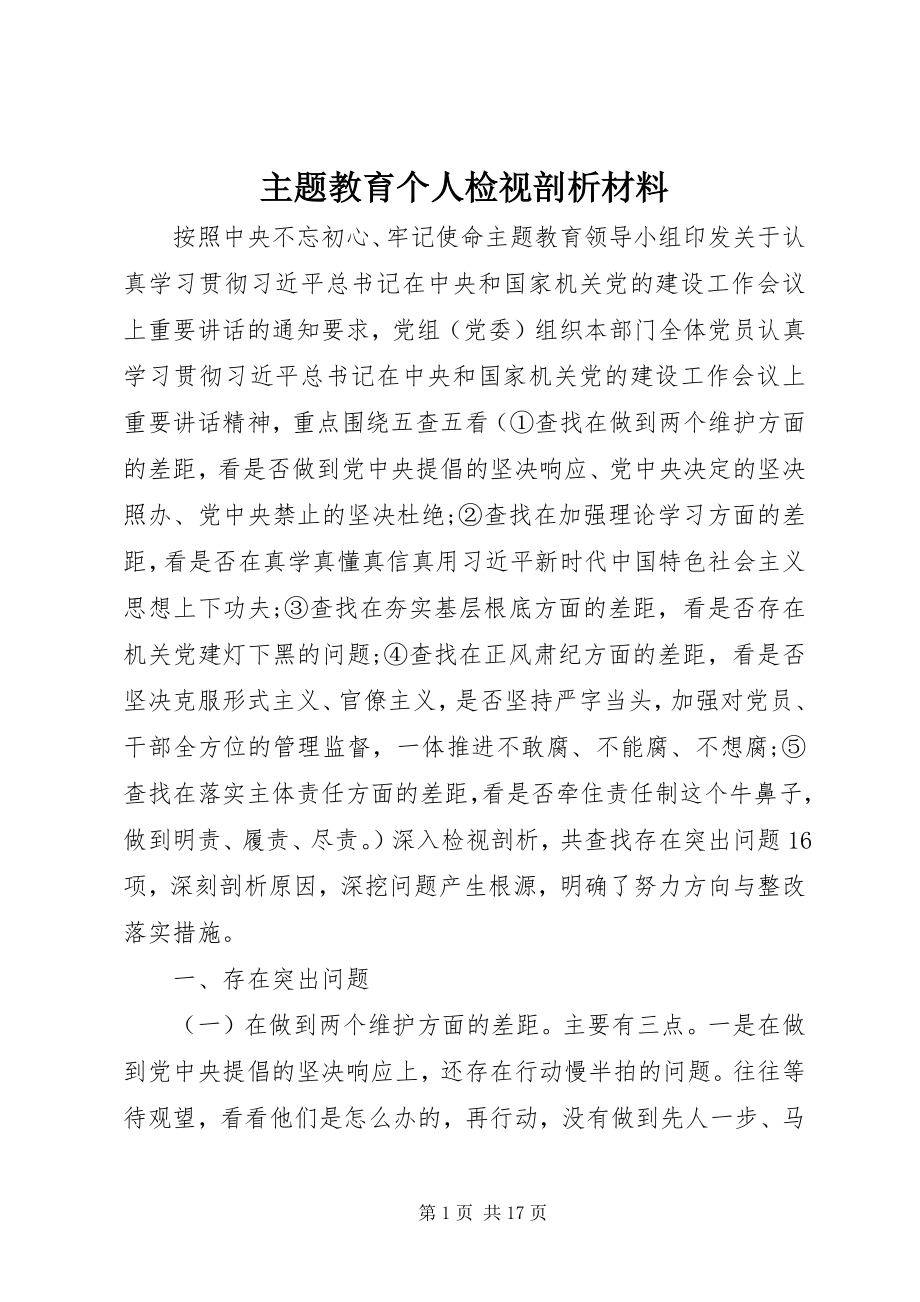 2023年主题教育个人检视剖析材料.docx_第1页