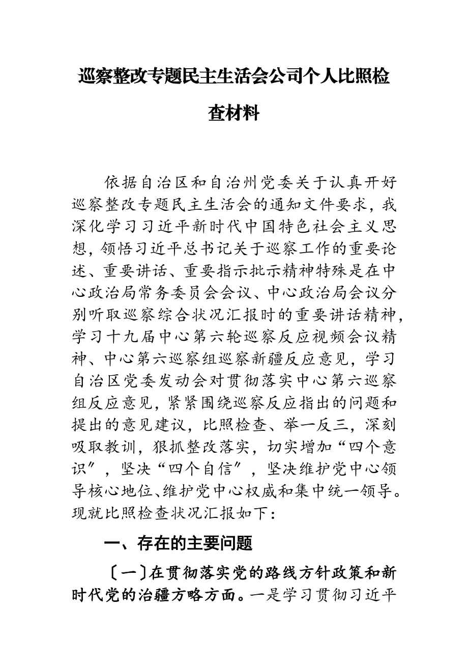 2023年巡视整改专题民主生活会公司个人对照检查材料.doc_第1页