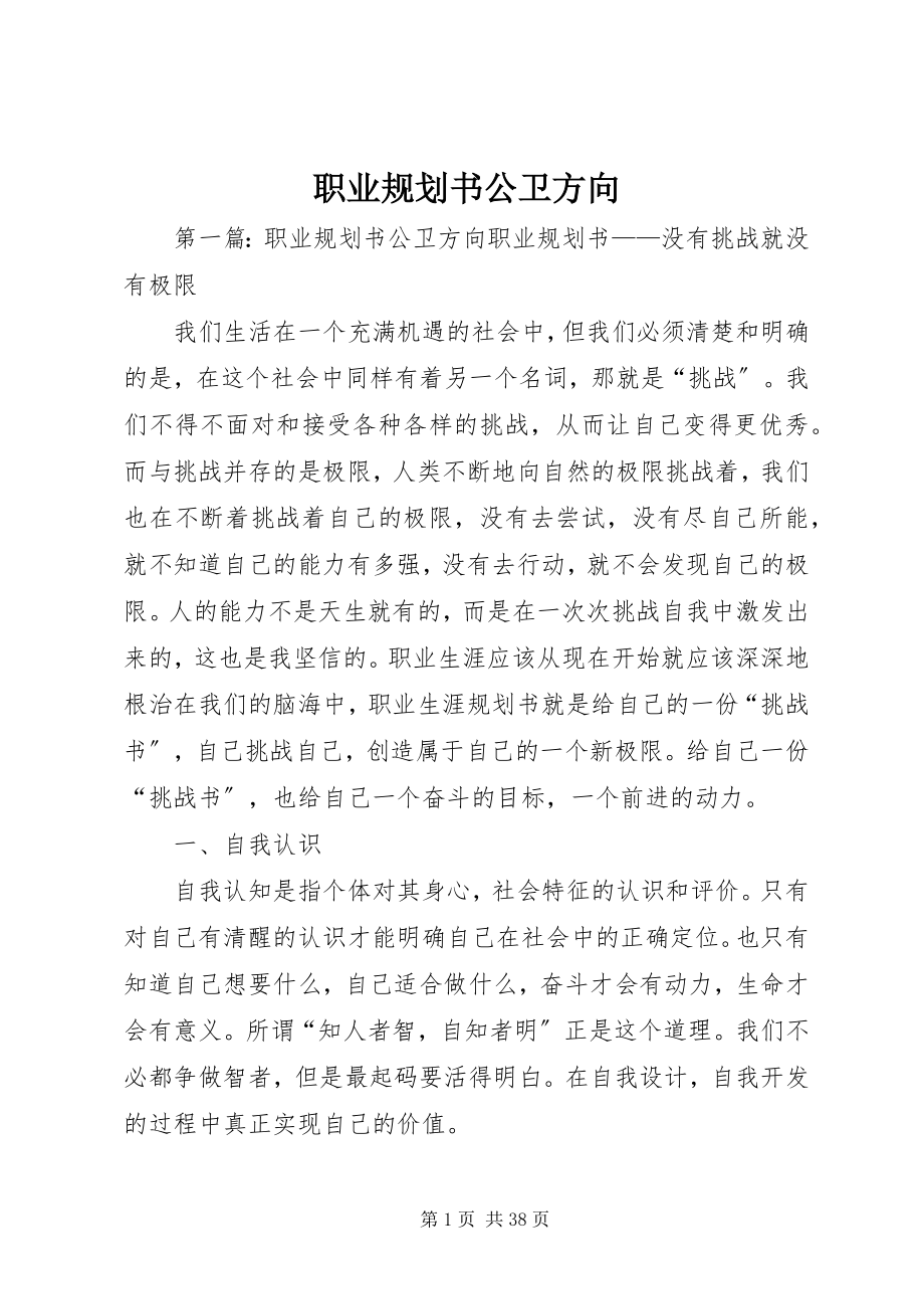 2023年职业规划书公卫方向.docx_第1页