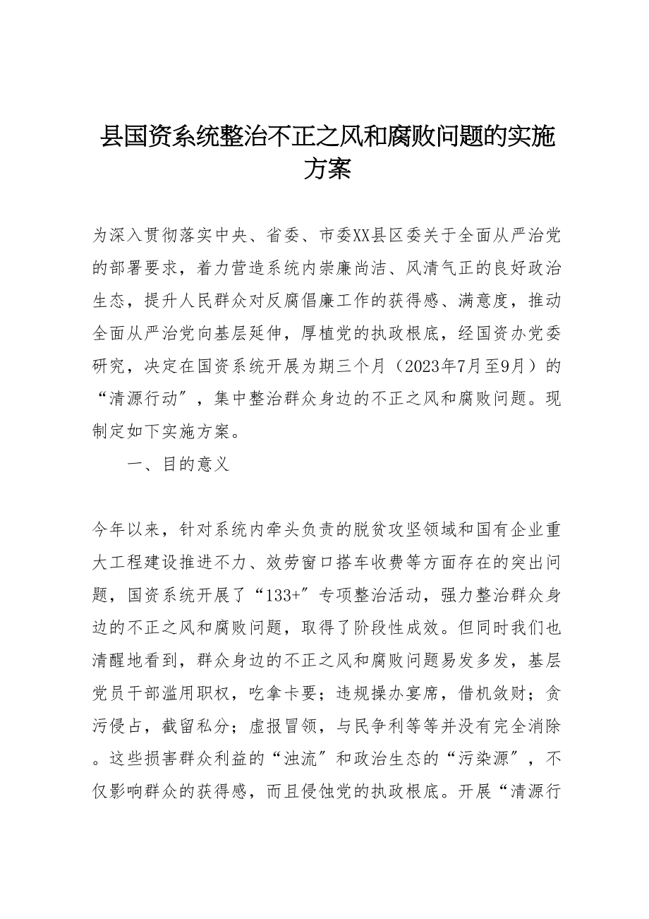 2023年县国资系统整治不正之风和腐败问题的实施方案.doc_第1页