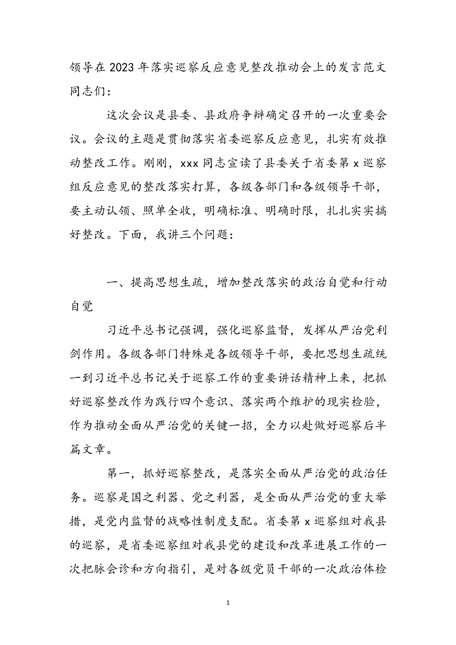 领导在2023年落实巡视反馈意见整改推进会上的发言 .docx_第2页