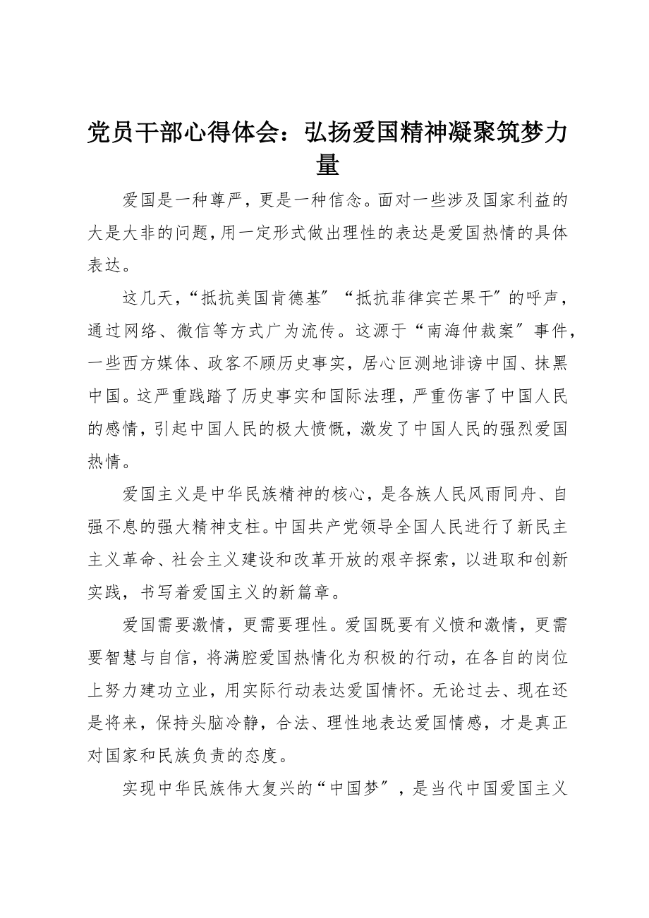 2023年党员干部心得体会弘扬爱国精神凝聚筑梦力量.docx_第1页