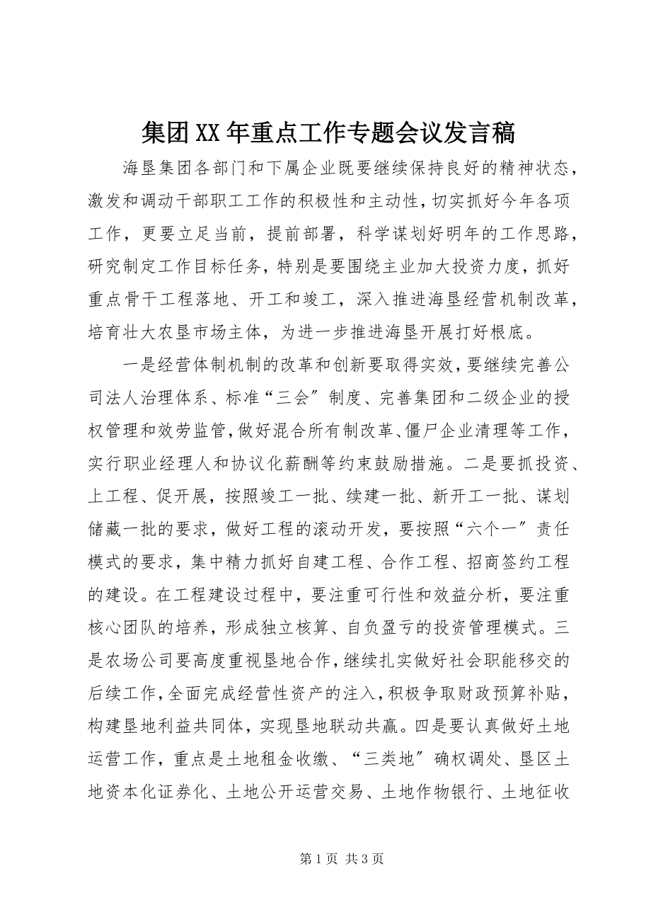 2023年集团重点工作专题会议讲话稿.docx_第1页