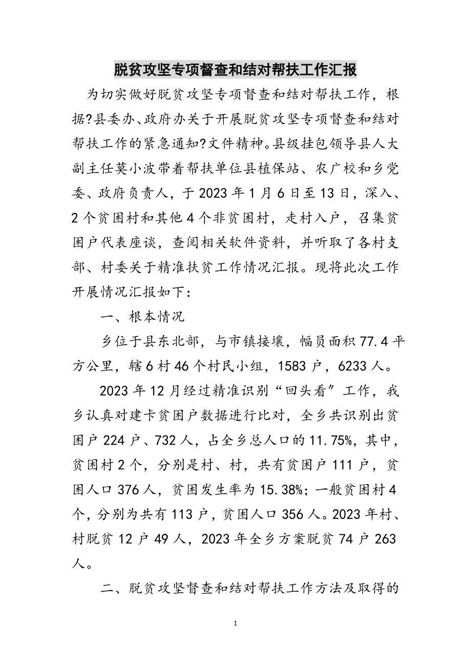 2023年脱贫攻坚专项督查和结对帮扶工作汇报范文.doc_第1页