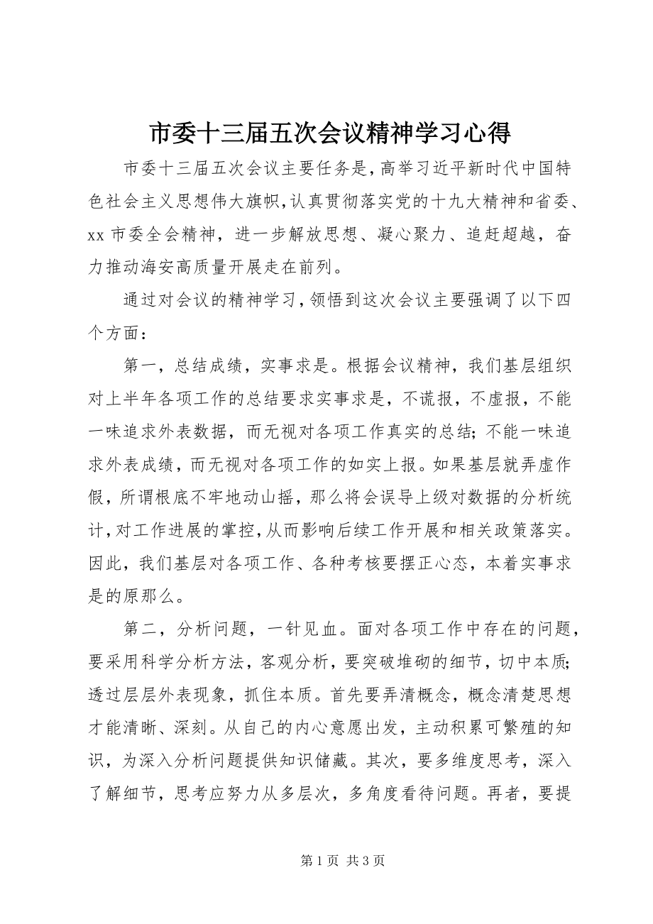 2023年市委十三届五次会议精神学习心得.docx_第1页