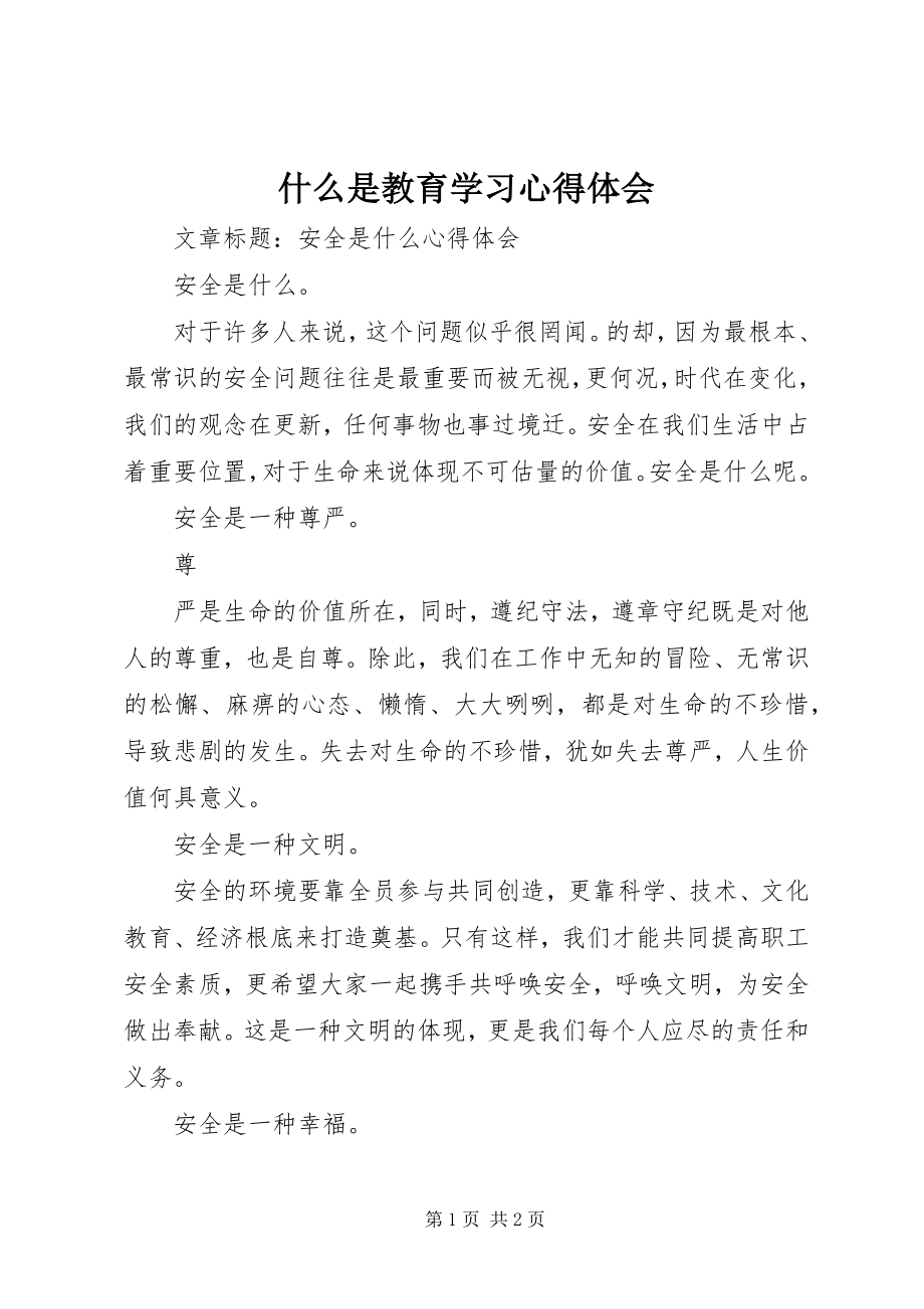 2023年《什么是教育》学习心得体会.docx_第1页