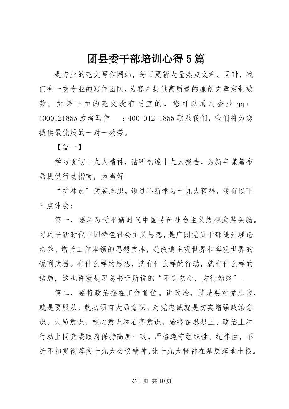 2023年团县委干部培训心得5篇.docx_第1页