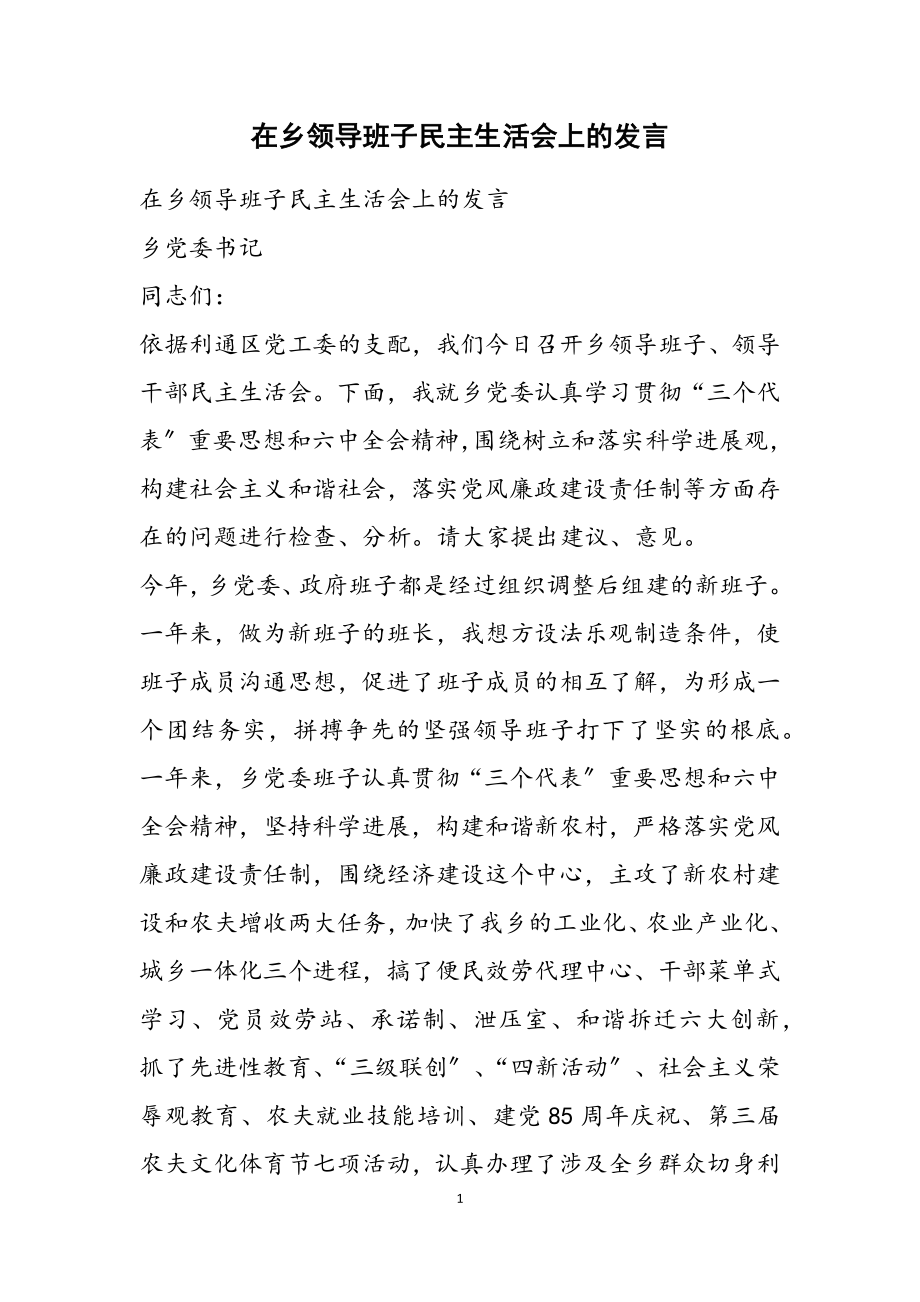 2023年在乡领导班子民主生活会上的发言.doc_第1页