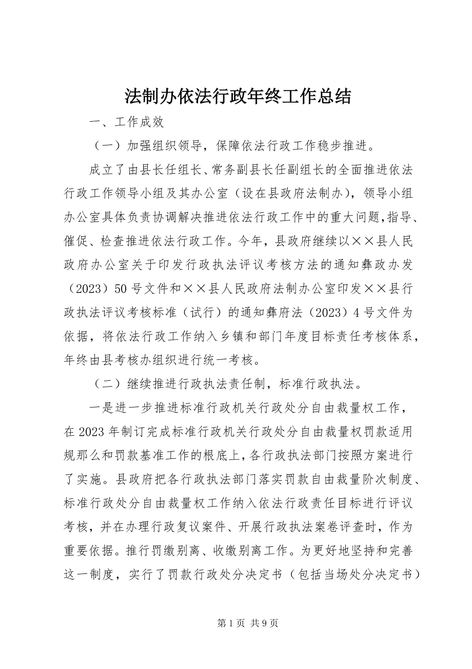 2023年法制办依法行政年终工作总结.docx_第1页