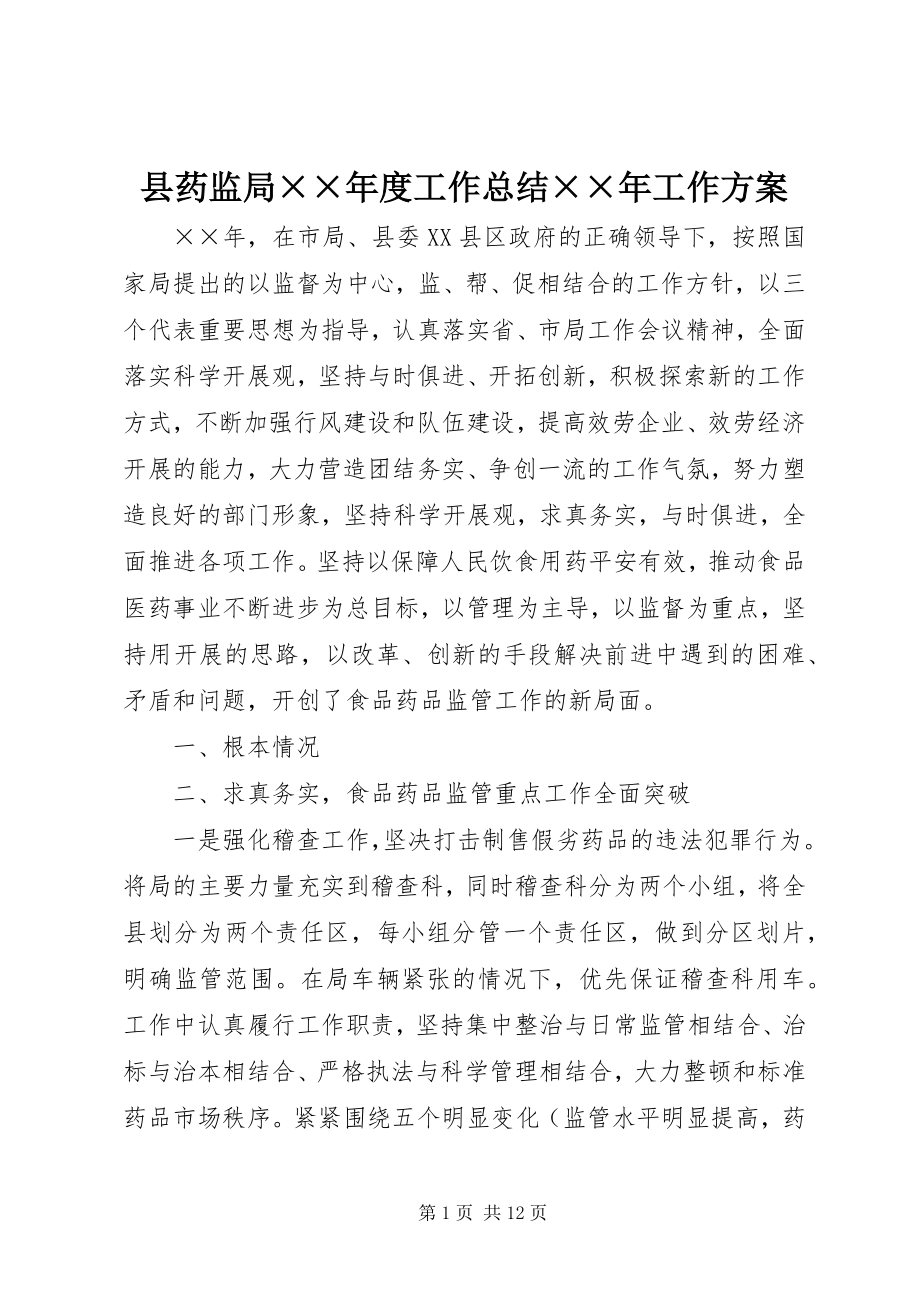 2023年县药监局度工作总结工作计划.docx_第1页