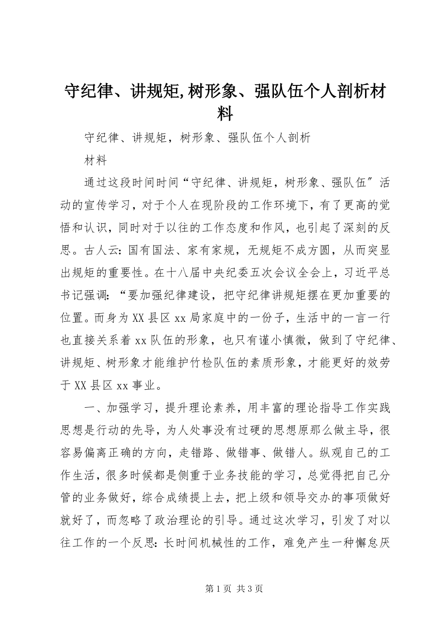 2023年守纪律讲规矩树形象强队伍个人剖析材料.docx_第1页