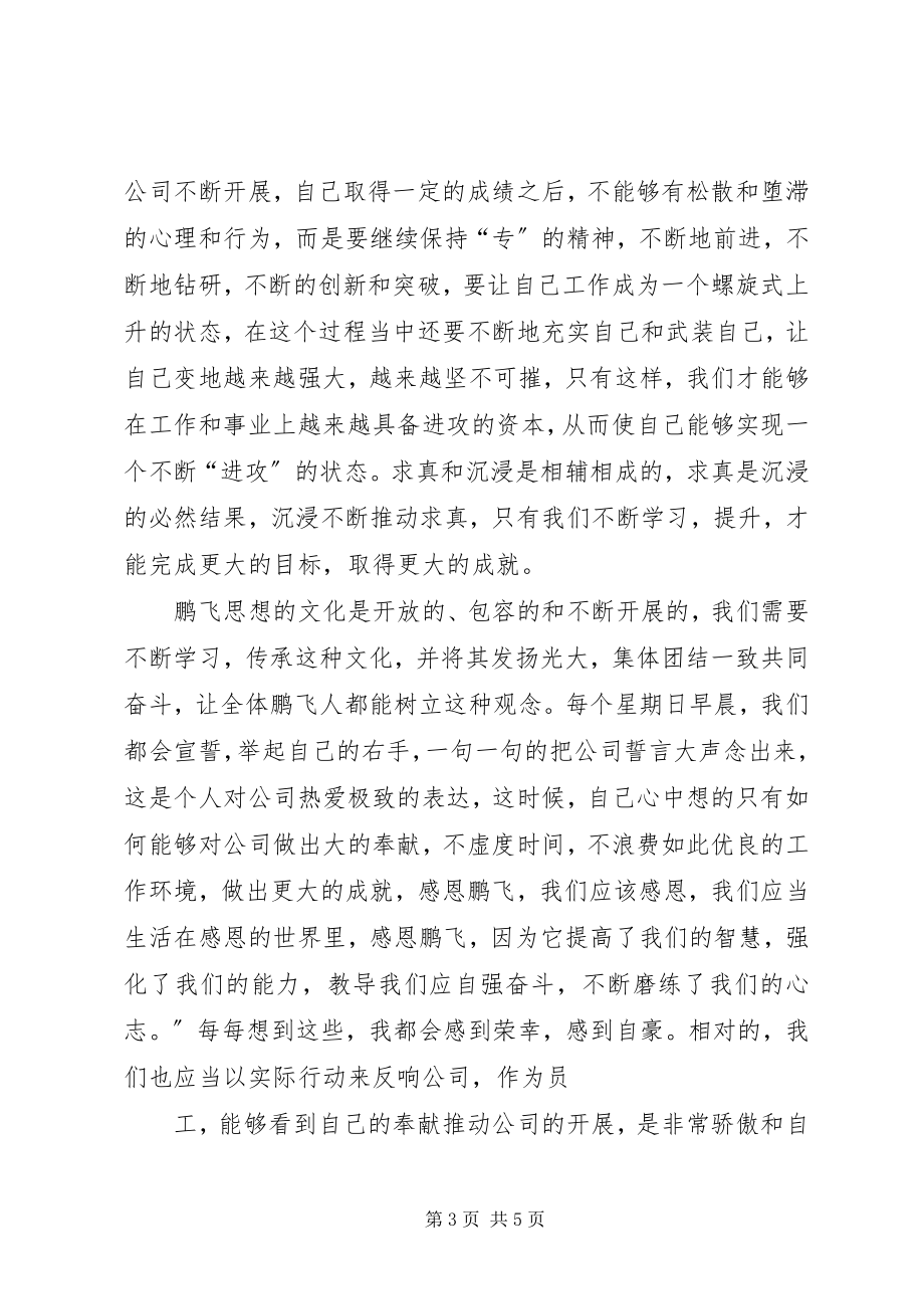 2023年学习鹏飞思想心得体会.docx_第3页