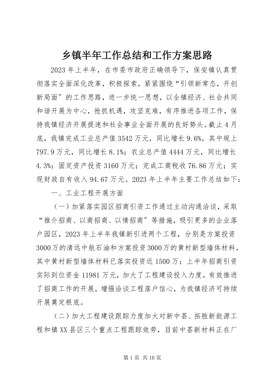 2023年乡镇半年工作总结和工作计划思路.docx_第1页