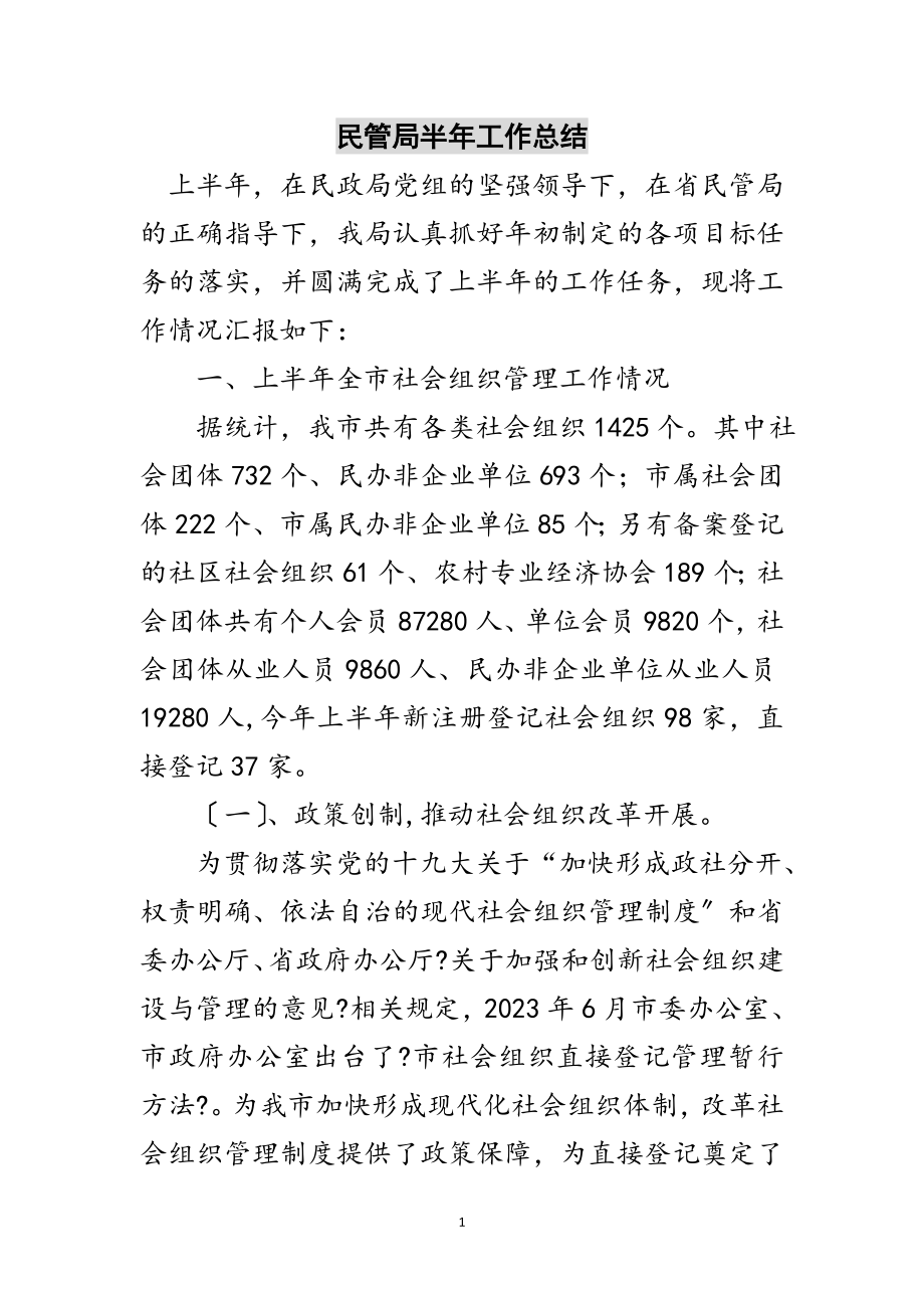 2023年民管局半年工作总结范文.doc_第1页