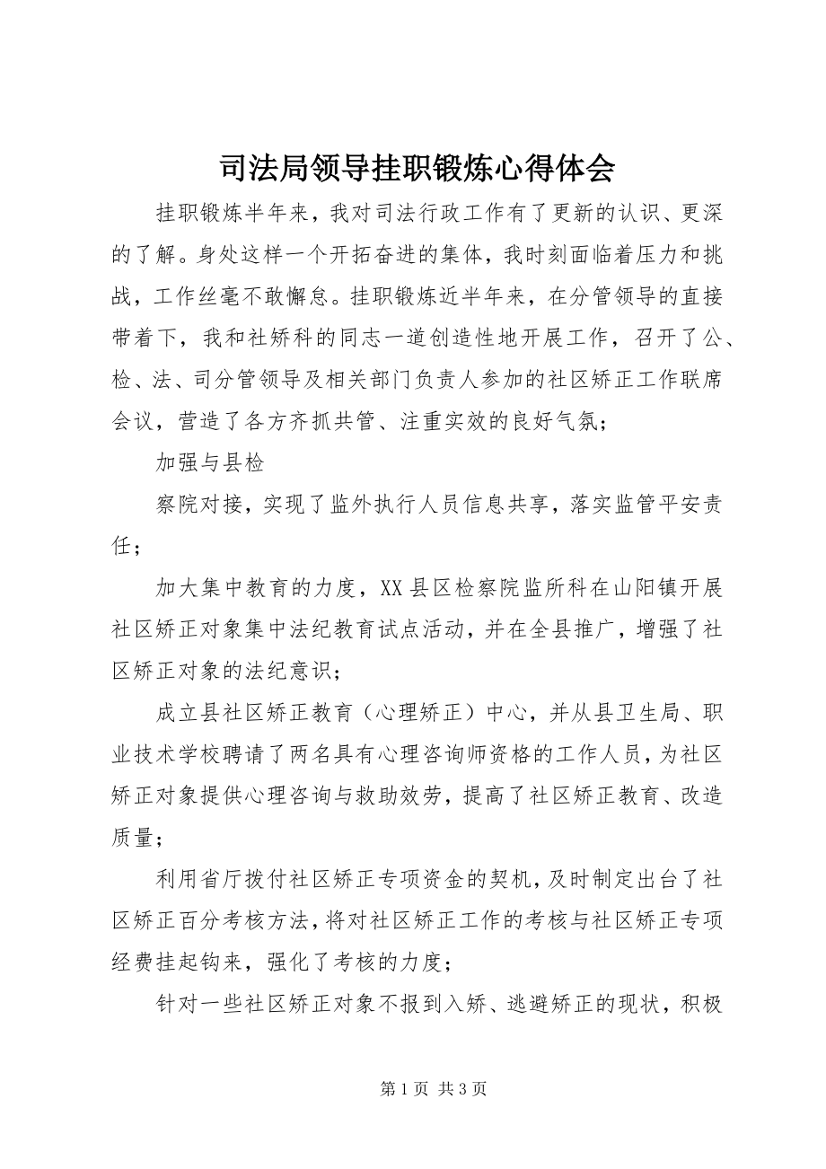 2023年司法局领导挂职锻炼心得体会.docx_第1页