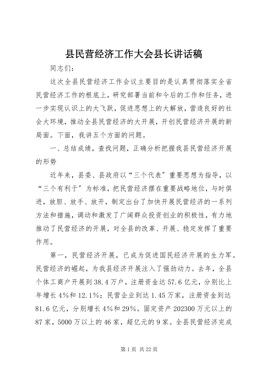 2023年县民营经济工作大会县长致辞稿.docx_第1页