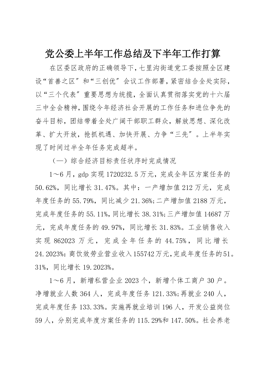 2023年党公委上半年工作总结及下半年工作打算.docx_第1页