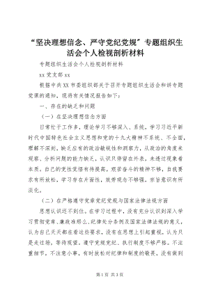 2023年“坚定理想信念严守党纪党规”专题组织生活会个人检视剖析材料新编.docx