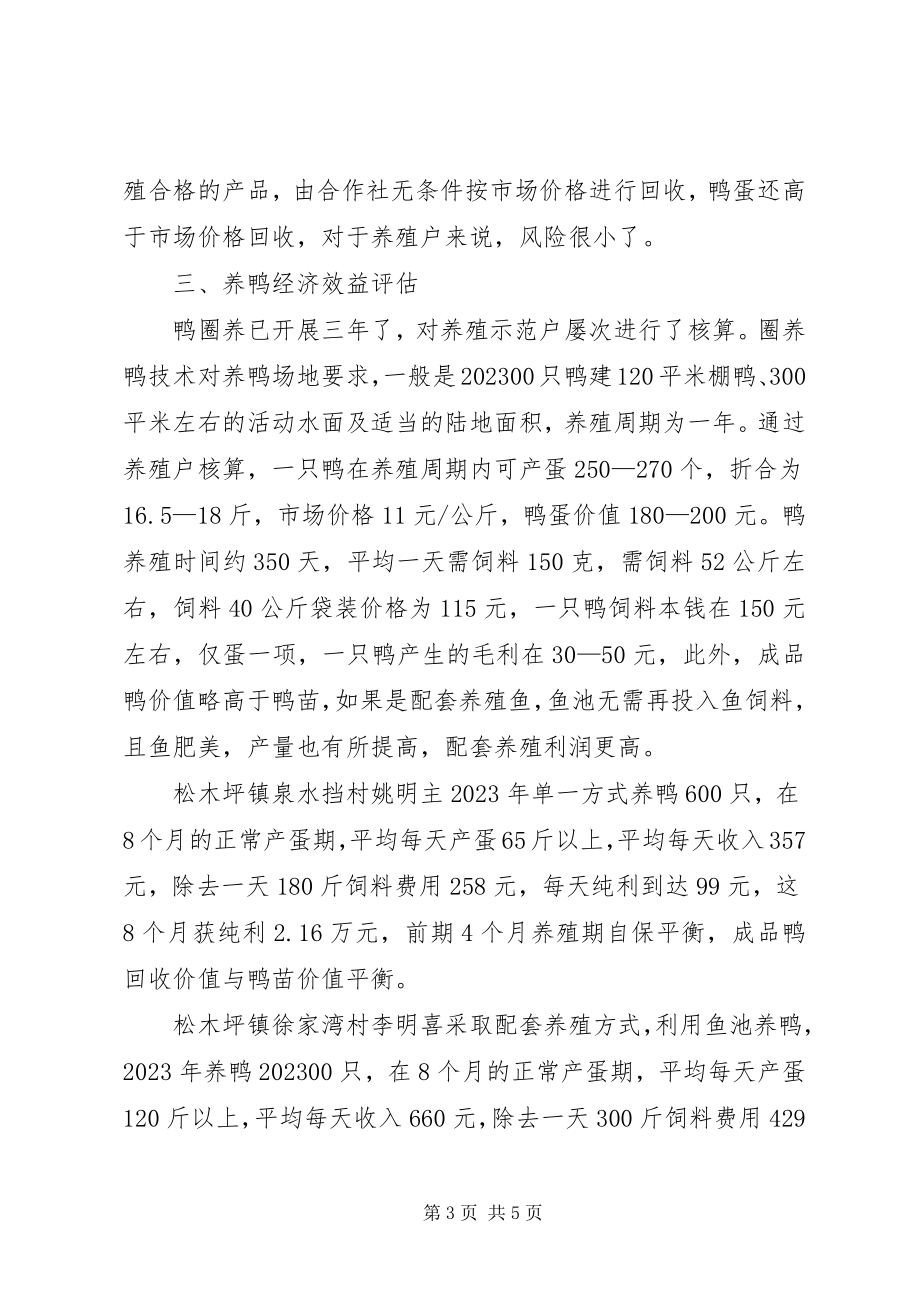 2023年养鸭专业合作社汇报材料.docx_第3页