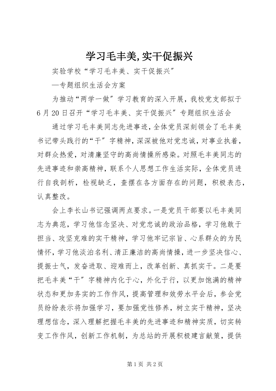 2023年学习毛丰美实干促振兴2.docx_第1页