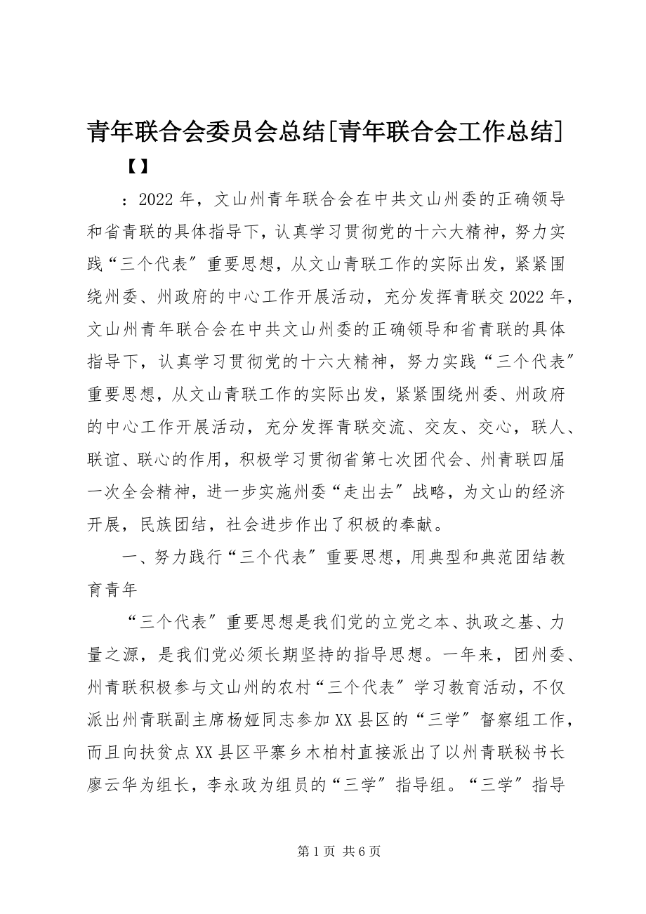 2023年青年联合会委员会总结青年联合会工作总结.docx_第1页