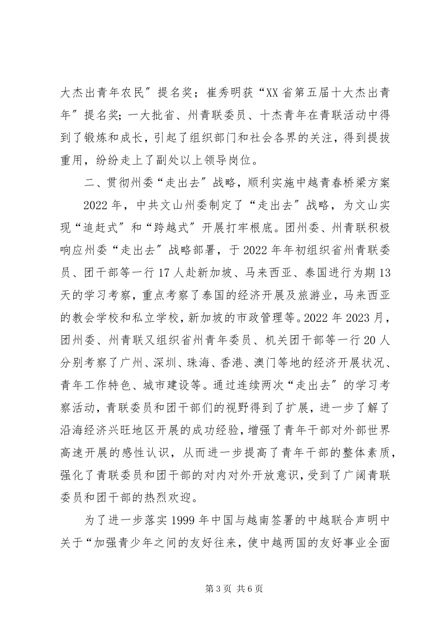 2023年青年联合会委员会总结青年联合会工作总结.docx_第3页