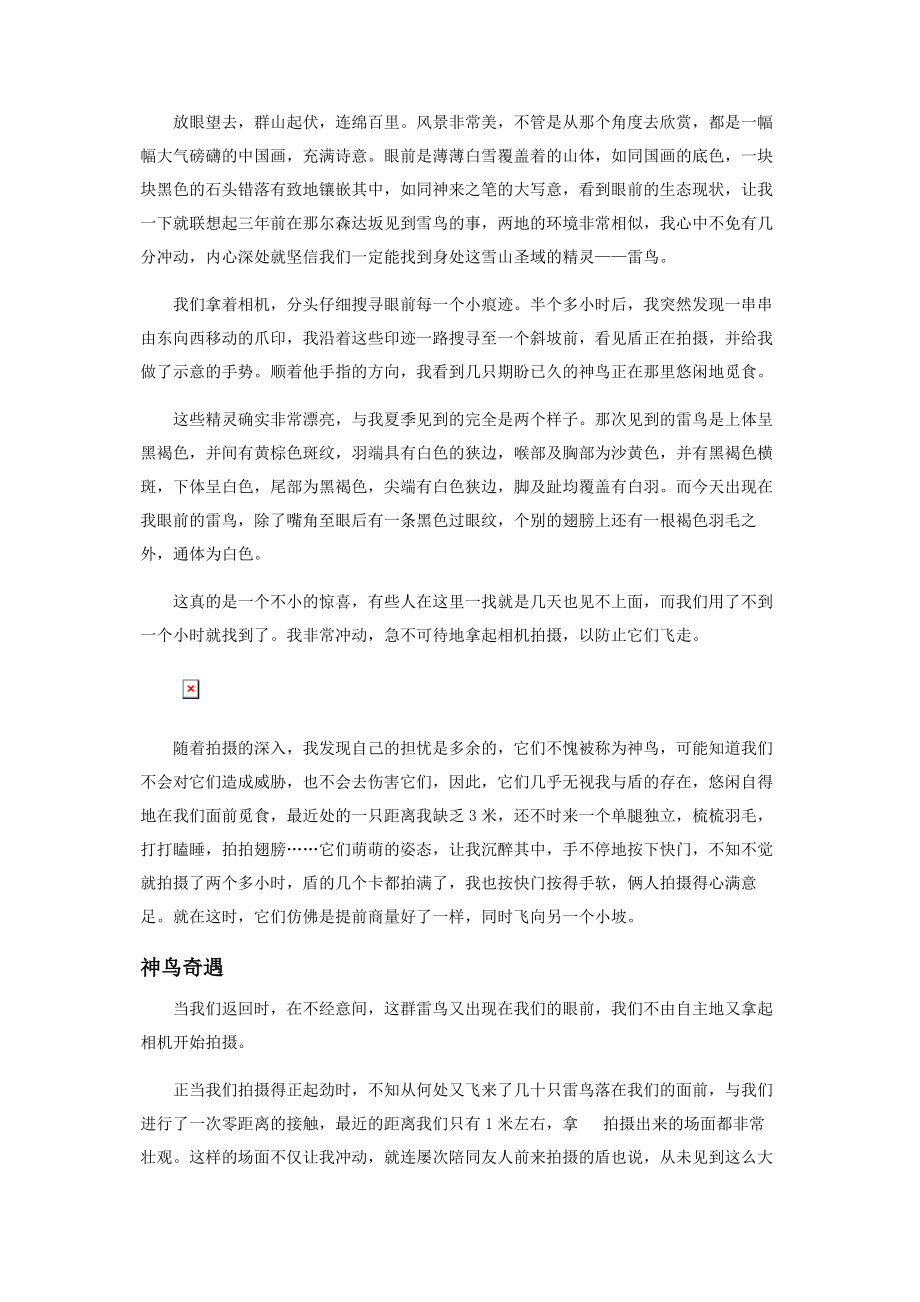 2023年邂逅传说中的雷鸟.docx_第3页