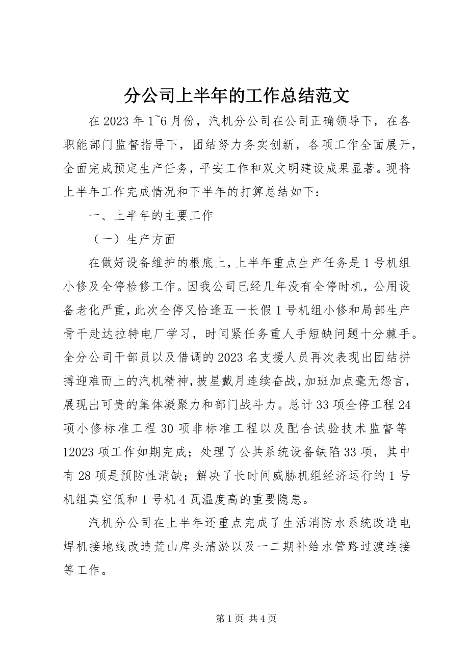 2023年分公司上半年的工作总结.docx_第1页