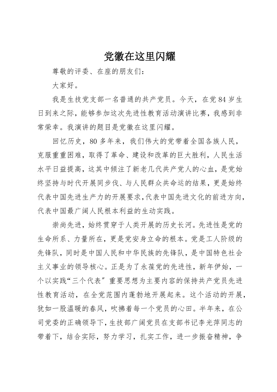 2023年党徽在这里闪耀.docx_第1页