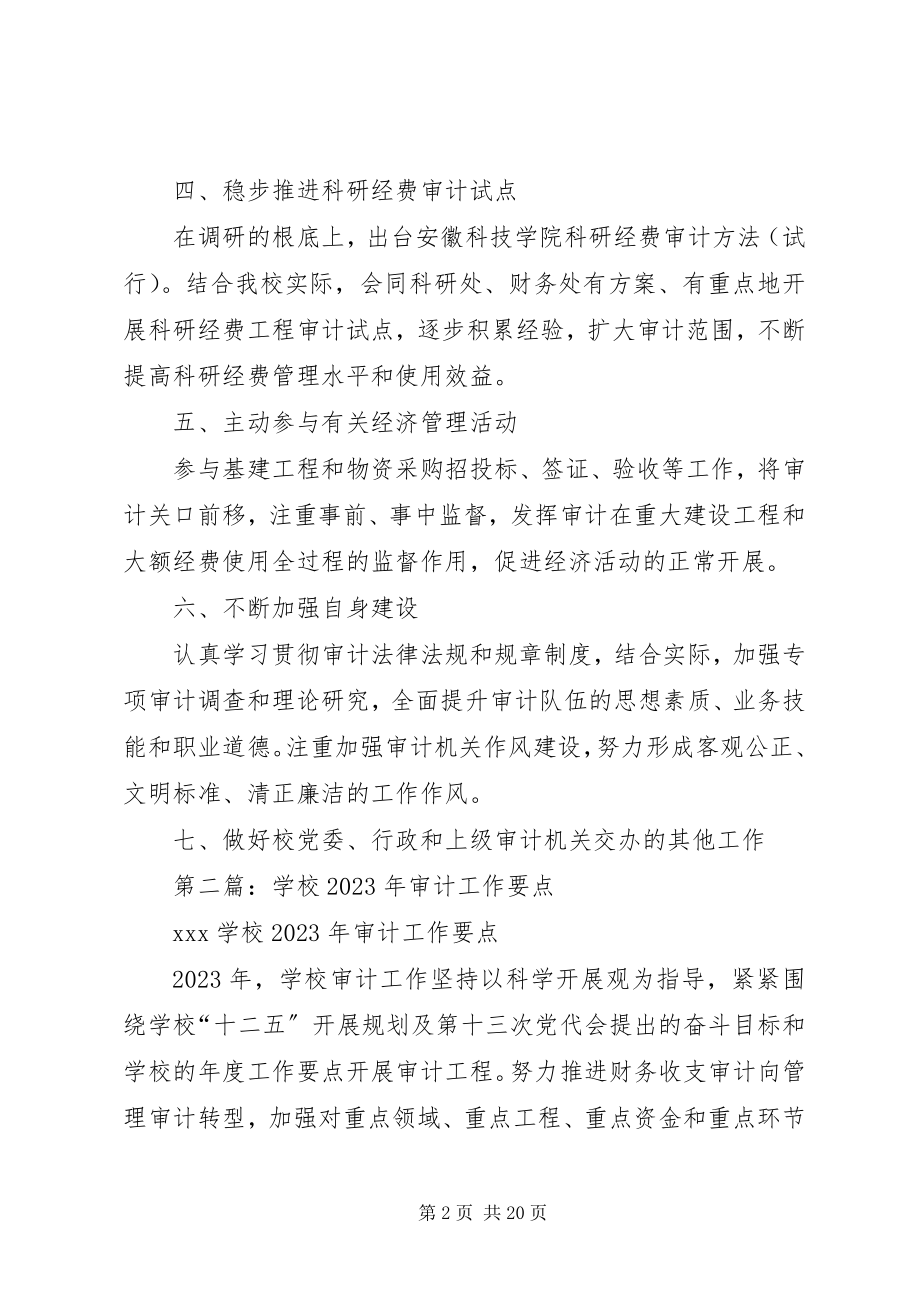 2023年学校审计工作思路要点.docx_第2页