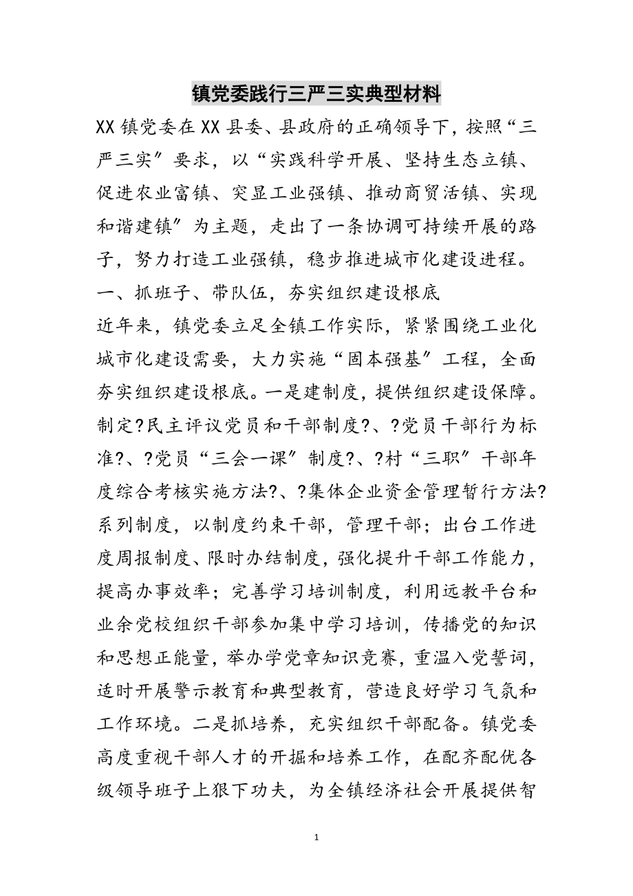 2023年镇党委践行三严三实典型材料范文.doc_第1页