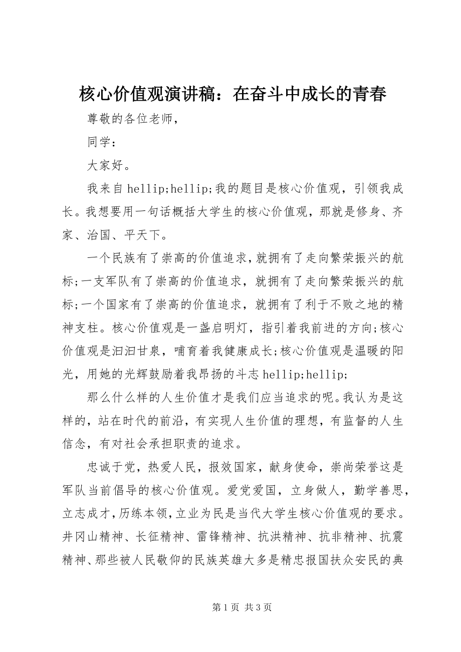 2023年核心价值观演讲稿在奋斗中成长的青春.docx_第1页