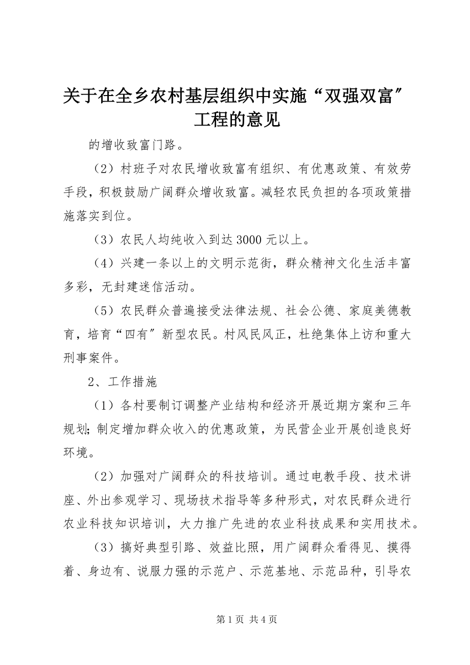 2023年在全乡农村基层组织中实施“双强双富”工程的意见.docx_第1页