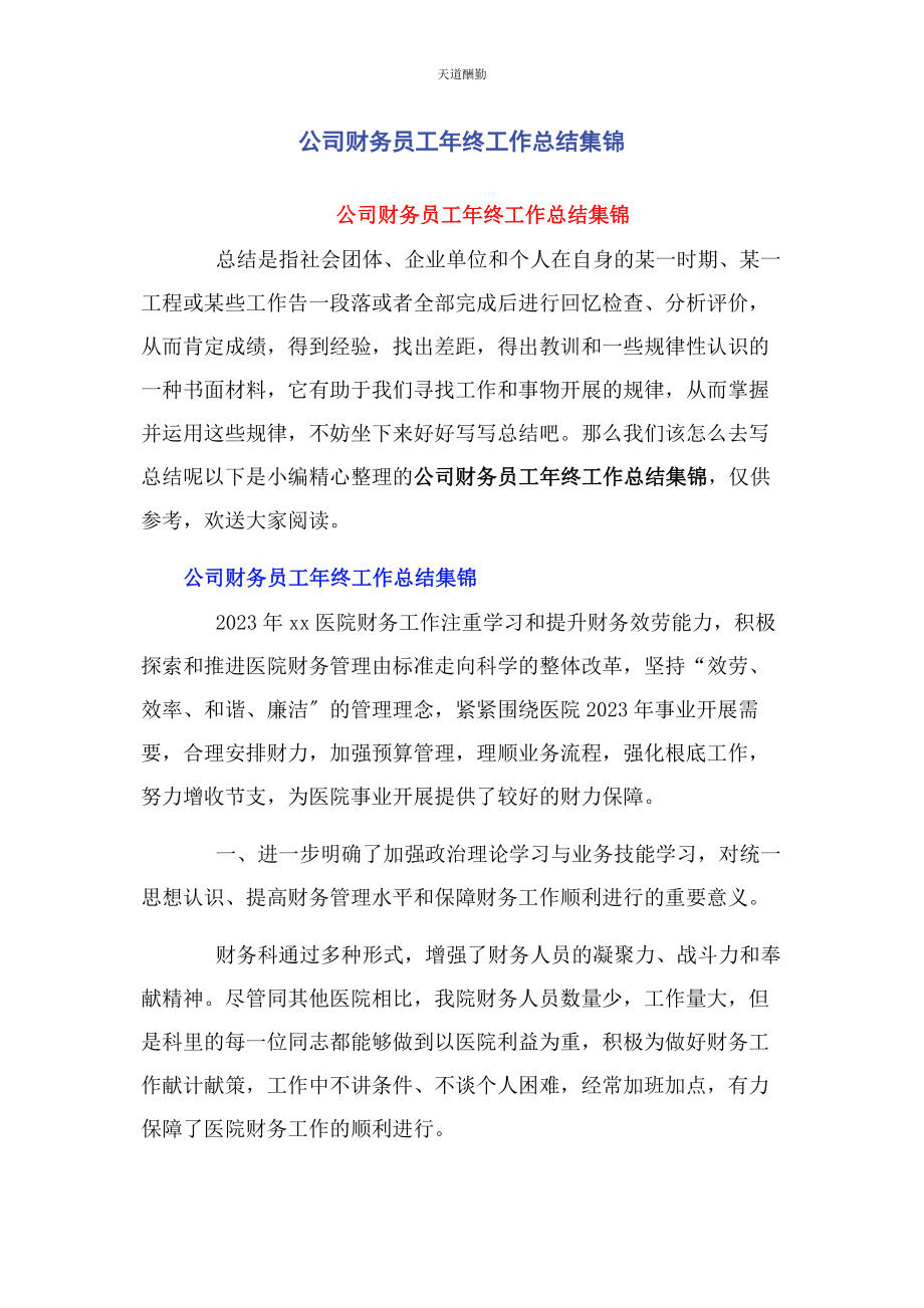 2023年公司财务员工终工作总结集锦.docx_第1页