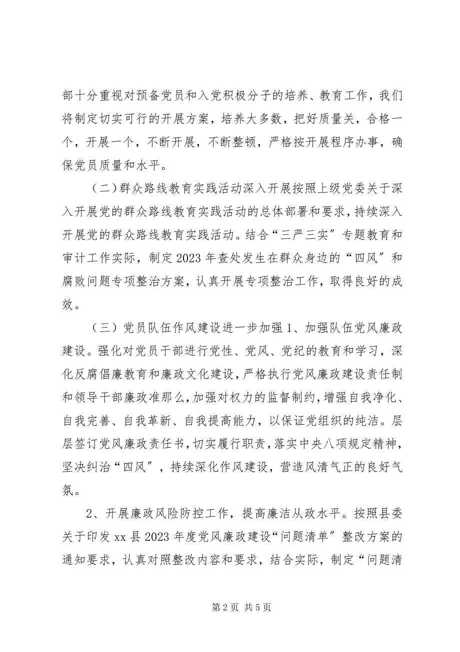 2023年乡镇审计局党支部年度党建工作总结.docx_第2页