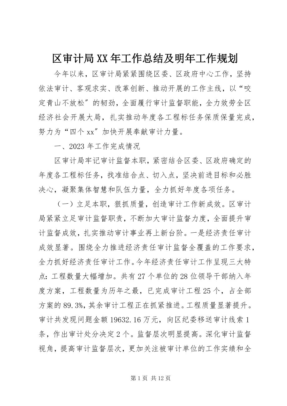 2023年区审计局工作总结及明年工作规划.docx_第1页