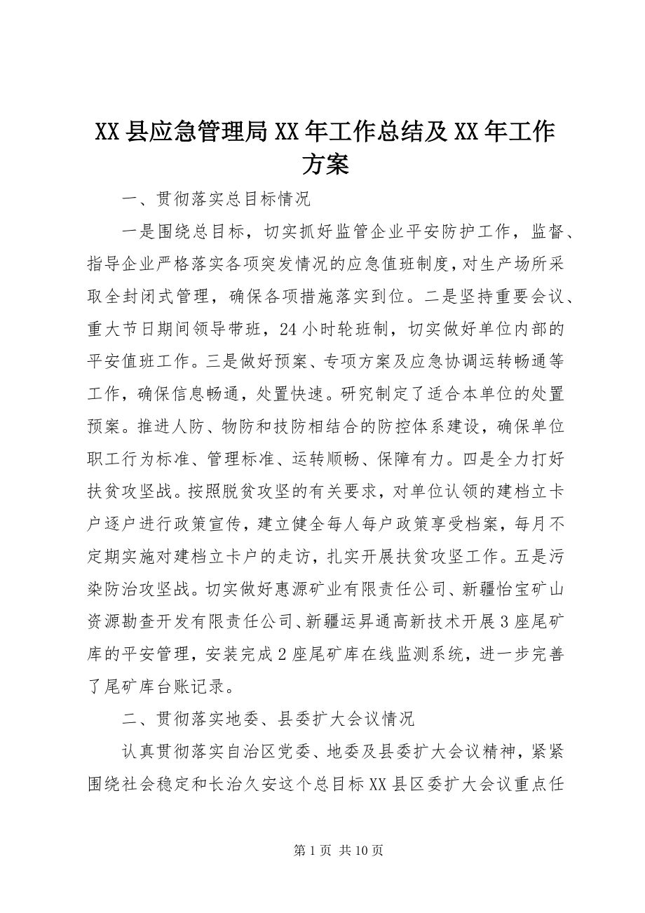 2023年XX县应急管理局工作总结及工作计划新编.docx_第1页