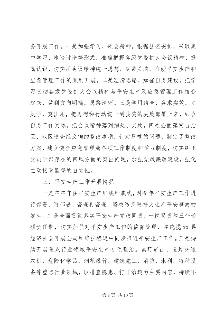 2023年XX县应急管理局工作总结及工作计划新编.docx_第2页