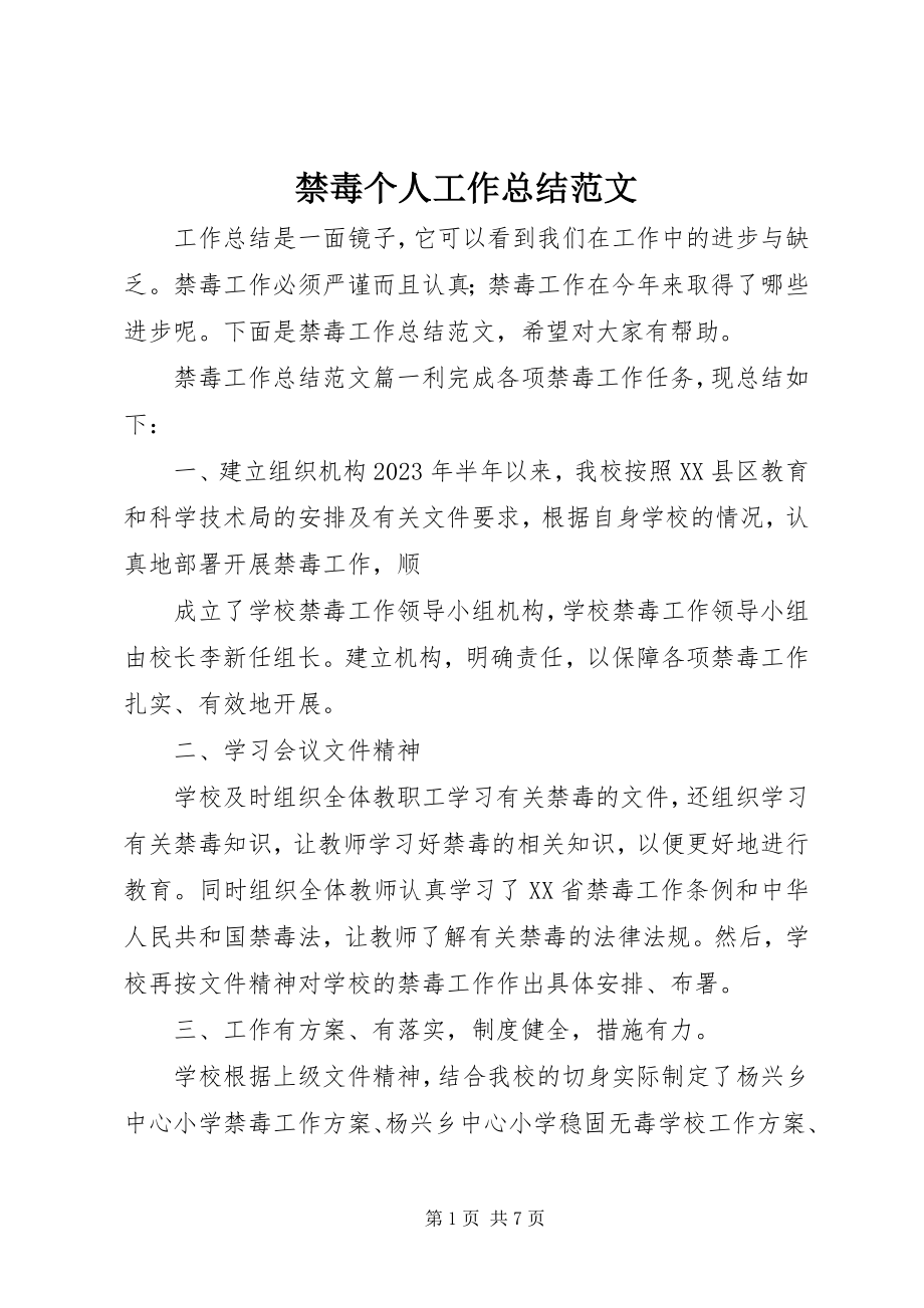 2023年禁毒个人工作总结.docx_第1页