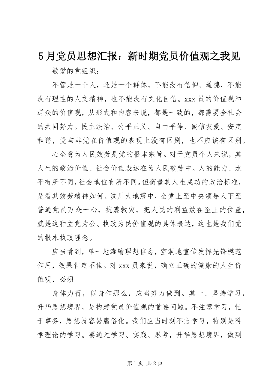 2023年5月党员思想汇报新时期党员价值观之我见新编.docx_第1页