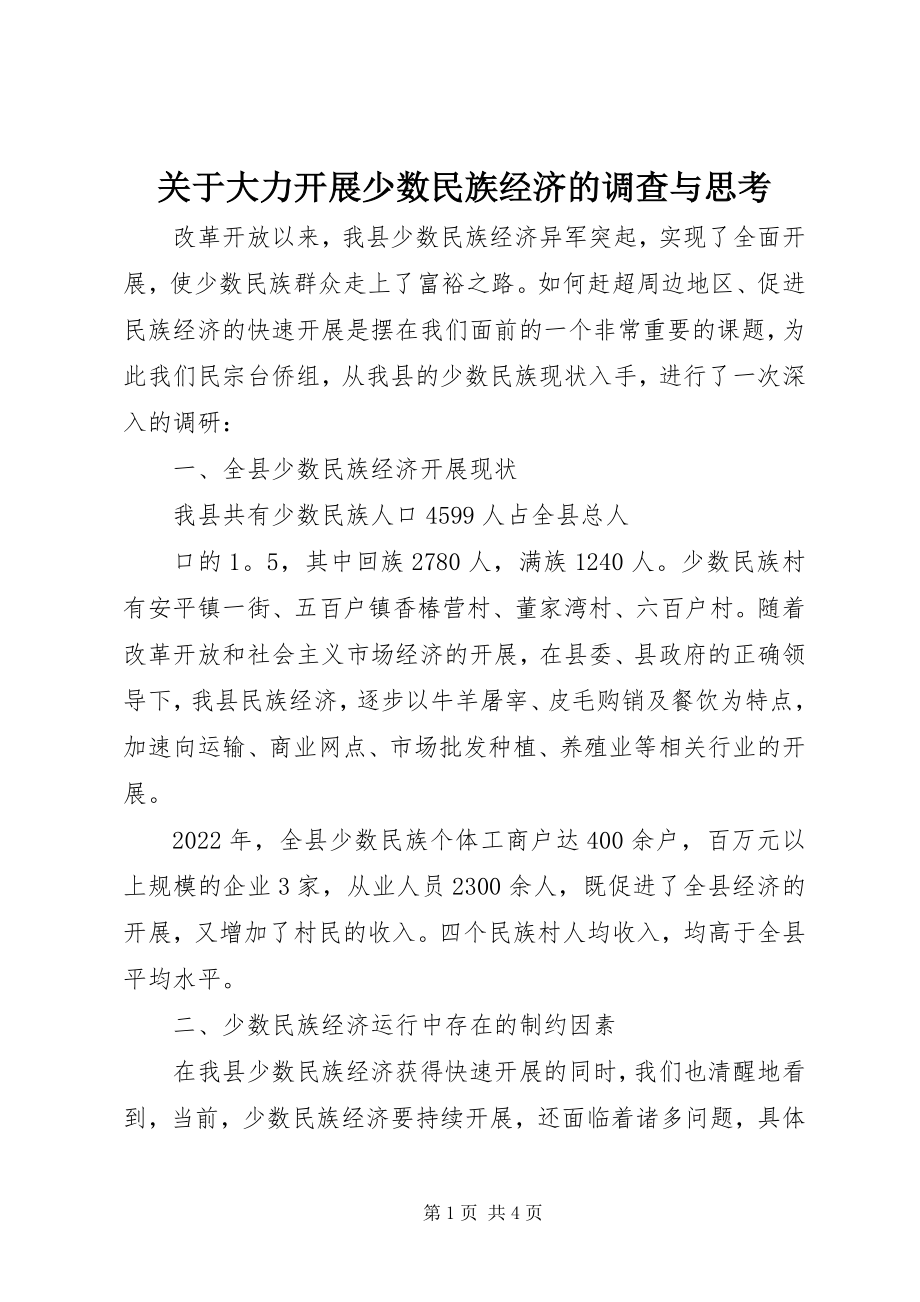 2023年大力发展少数民族经济的调查与思考.docx_第1页