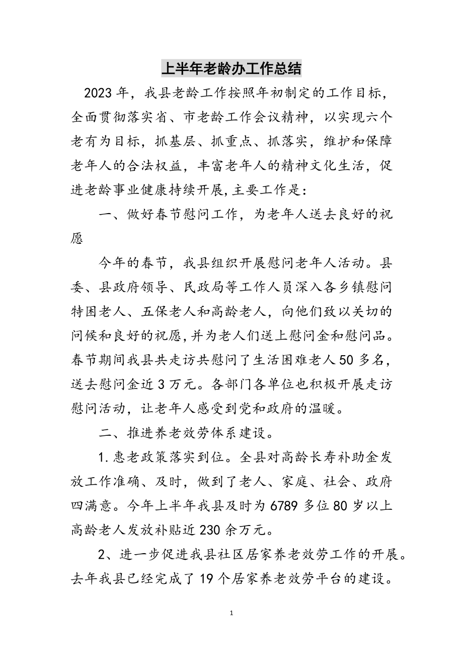 2023年上半年老龄办工作总结范文.doc_第1页