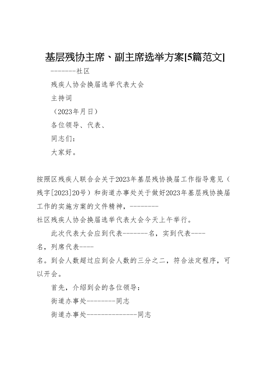 2023年基层残协主席副主席选举方案5篇范文 3.doc_第1页