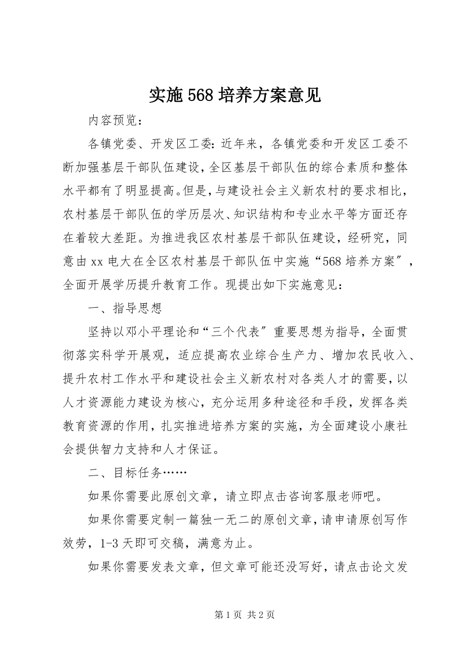 2023年实施568培养计划意见.docx_第1页