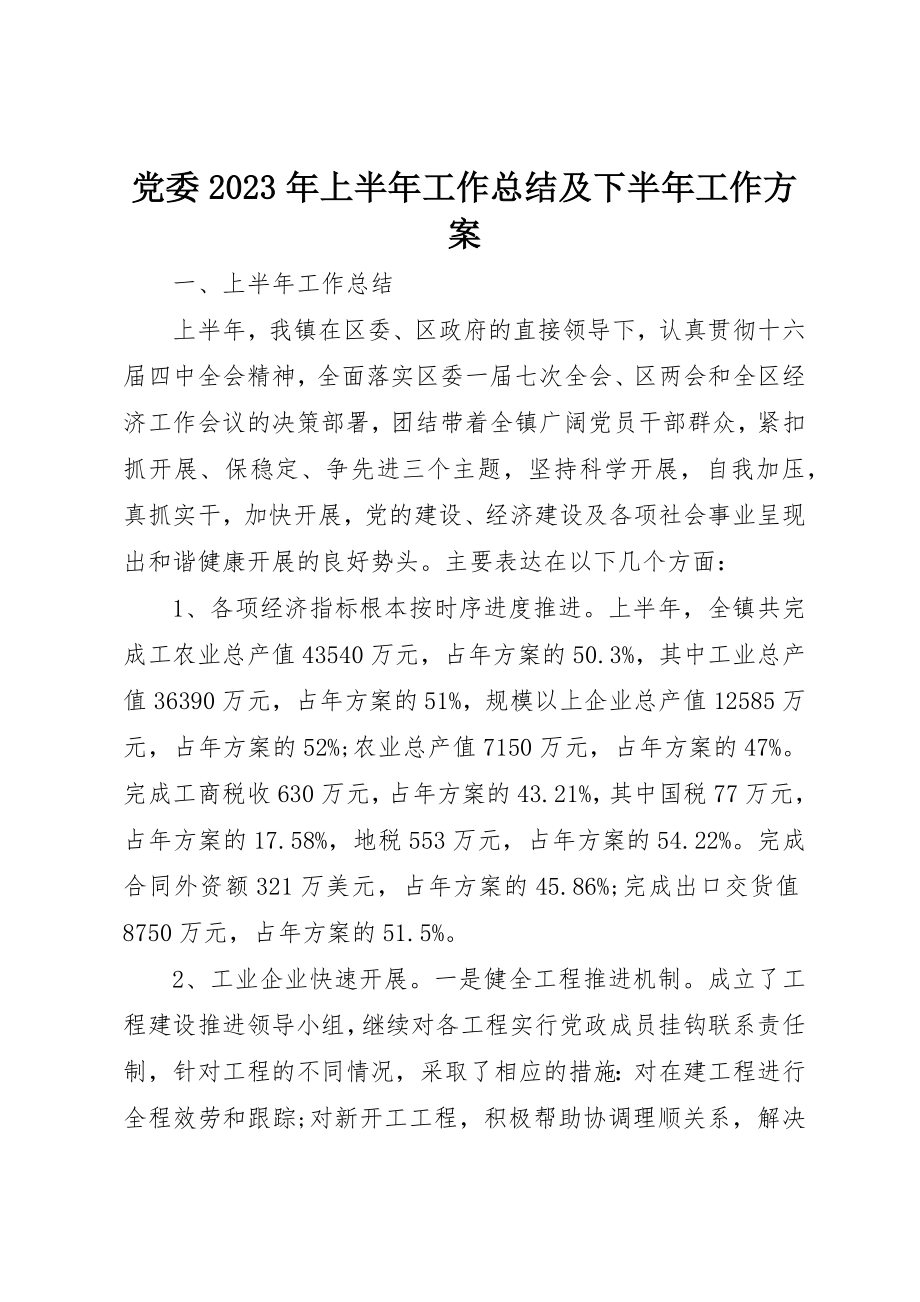 2023年党委某年上半年工作总结及下半年工作计划.docx_第1页