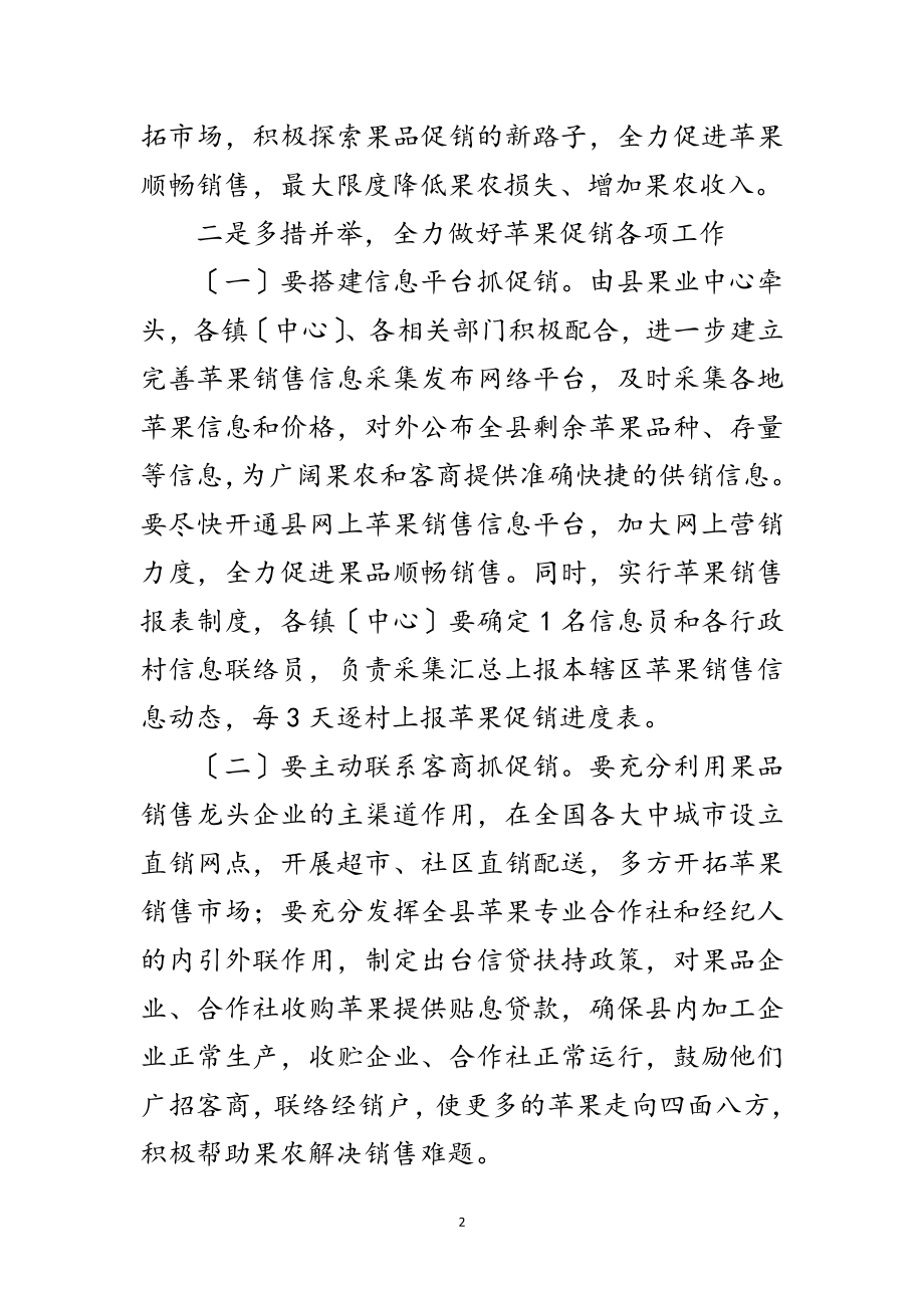 2023年领导在苹果促销工作会讲话范文.doc_第2页