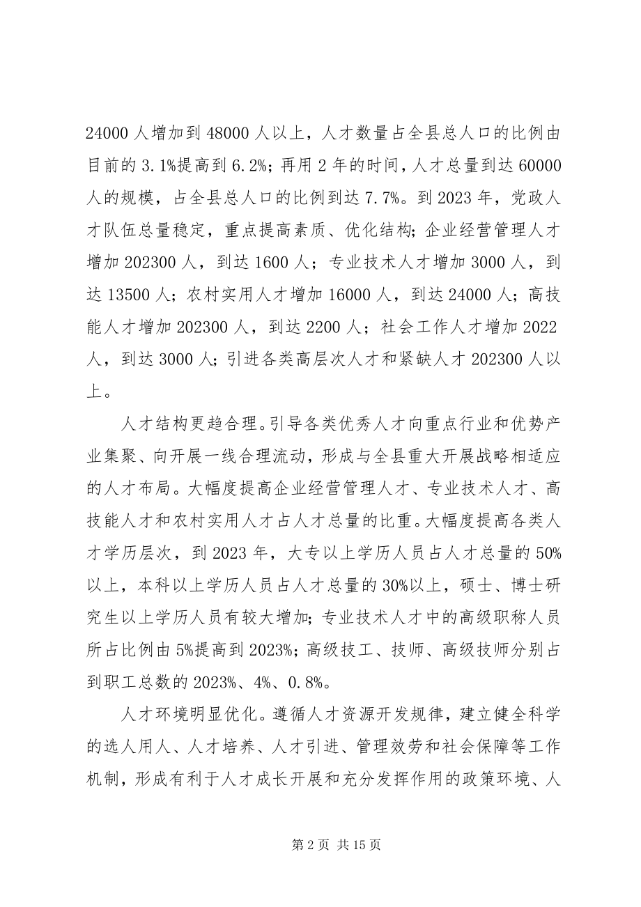 2023年全县人才资源开发工作打算.docx_第2页