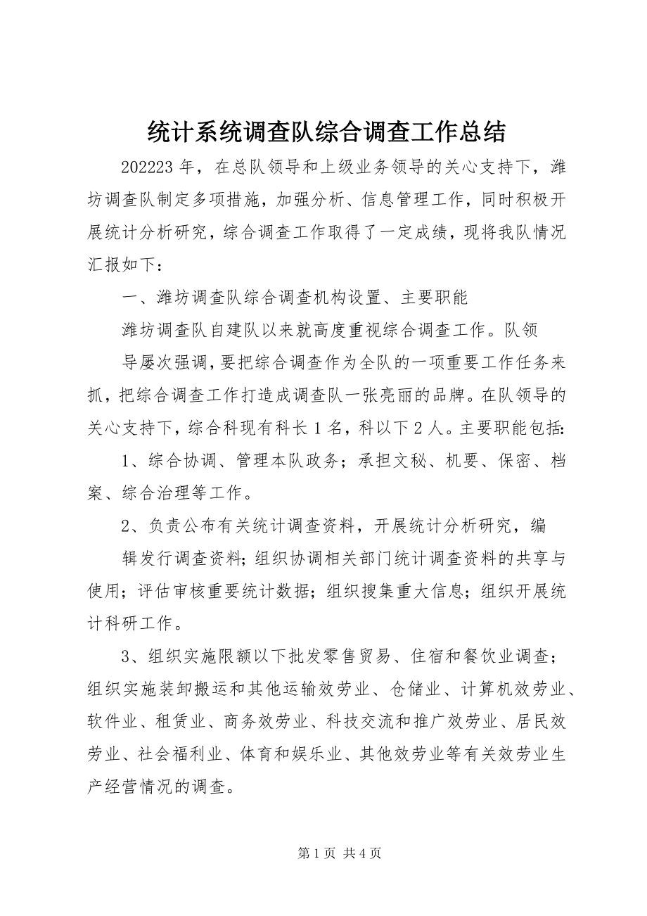 2023年统计系统调查队综合调查工作总结.docx_第1页