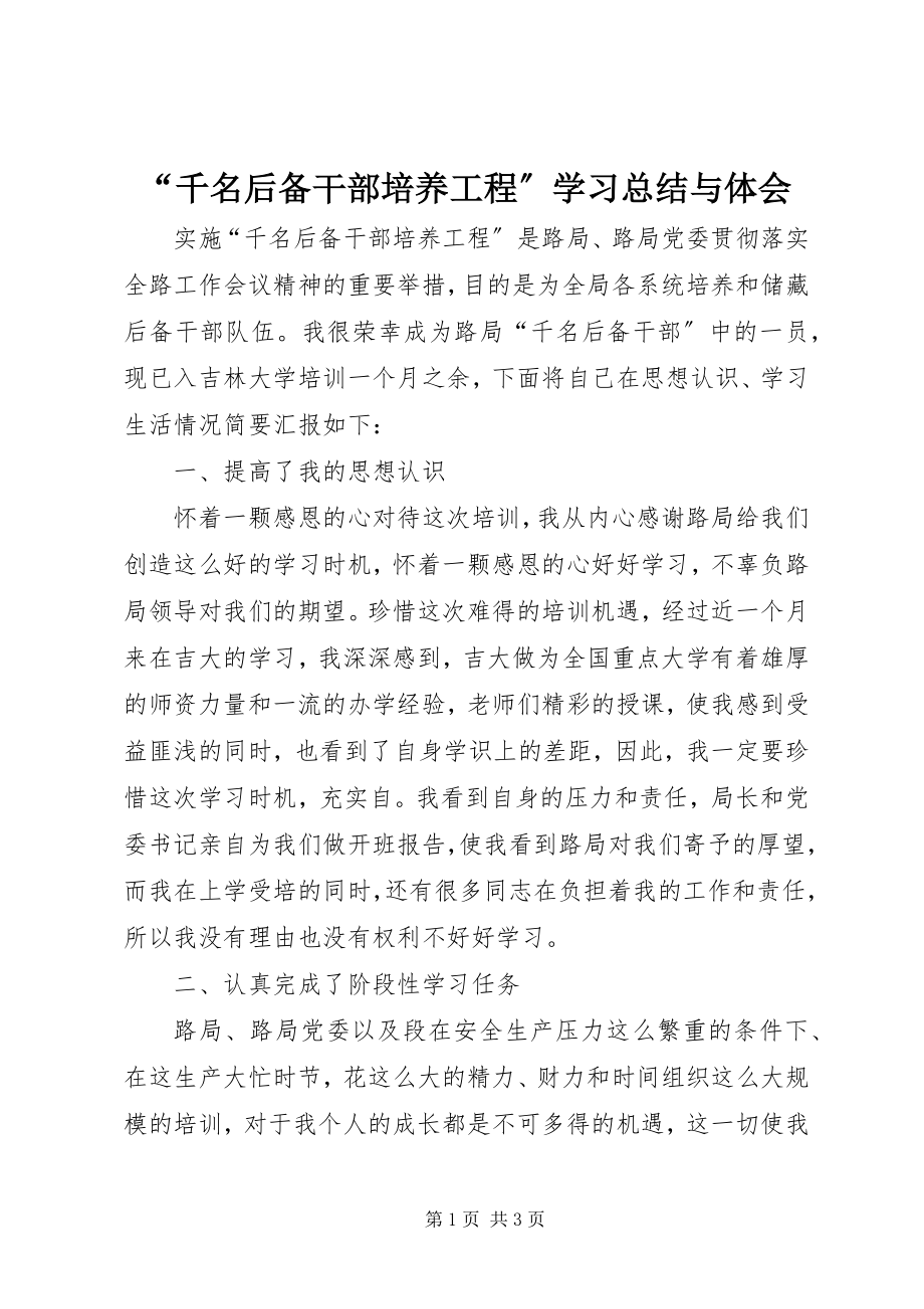 2023年千名后备干部培养工程学习总结与体会.docx_第1页