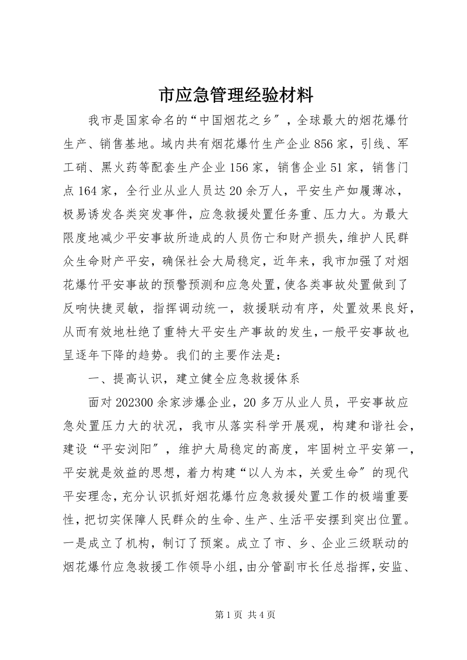 2023年市应急管理经验材料.docx_第1页